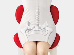 Amazon | MTG 骨盤サポートチェア Body Make Seat Style(ボディメイク