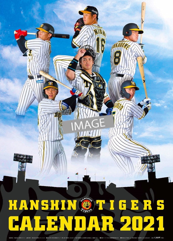 阪神タイガース 写真 アルバム 阪神タイガース フォトアルバム2008