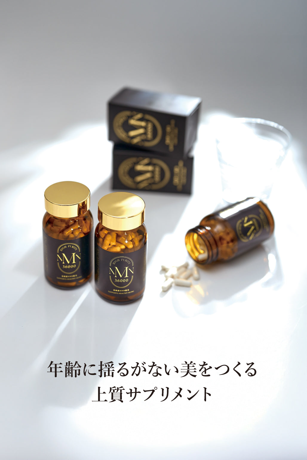 Shopify_top_main_SP_W1028xH154