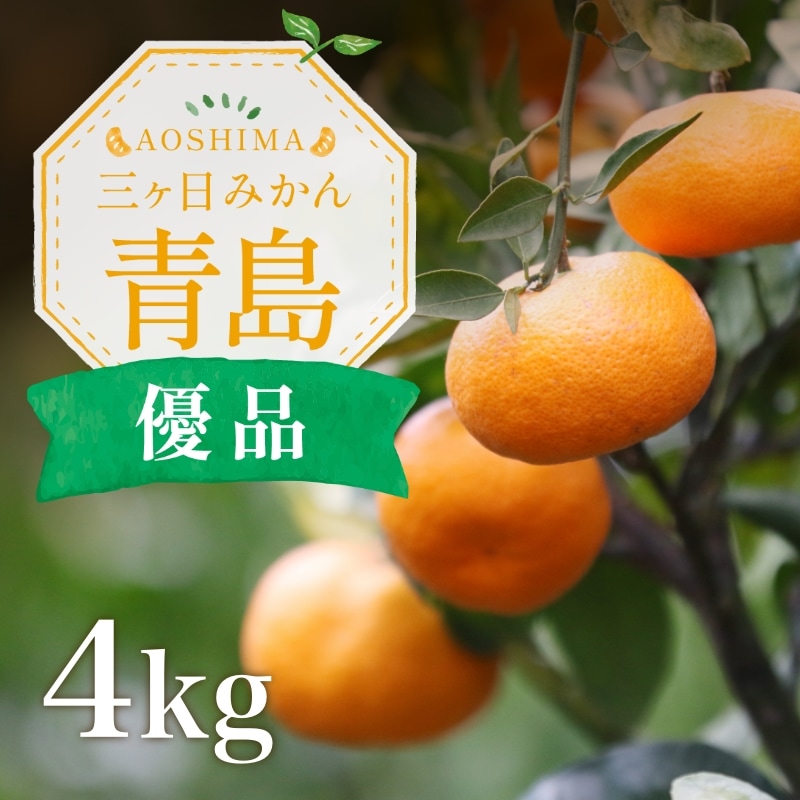 三ケ日濃厚熟みかん「青島」4kg(S～3Lサイズ)（優品相当） - 浜名湖
