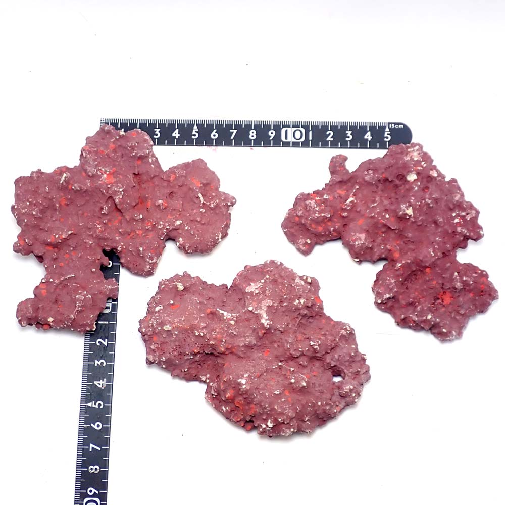 JSコーラルロック] 平ブロック Sサイズ 5枚＋1枚セット | 人工ライブ