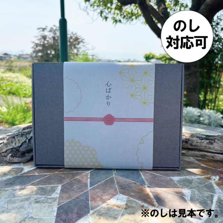 プラナロム】ゼラニウム・エジプト | 精油 | TENOMOS テノモス