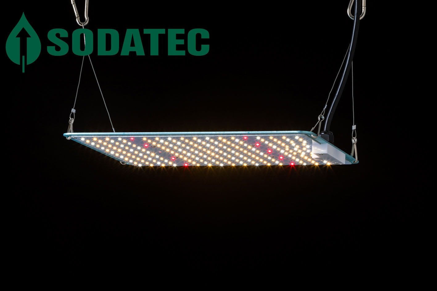SODATEC】 LED 01-100 | 植物育成灯,SODATEC | Tree people