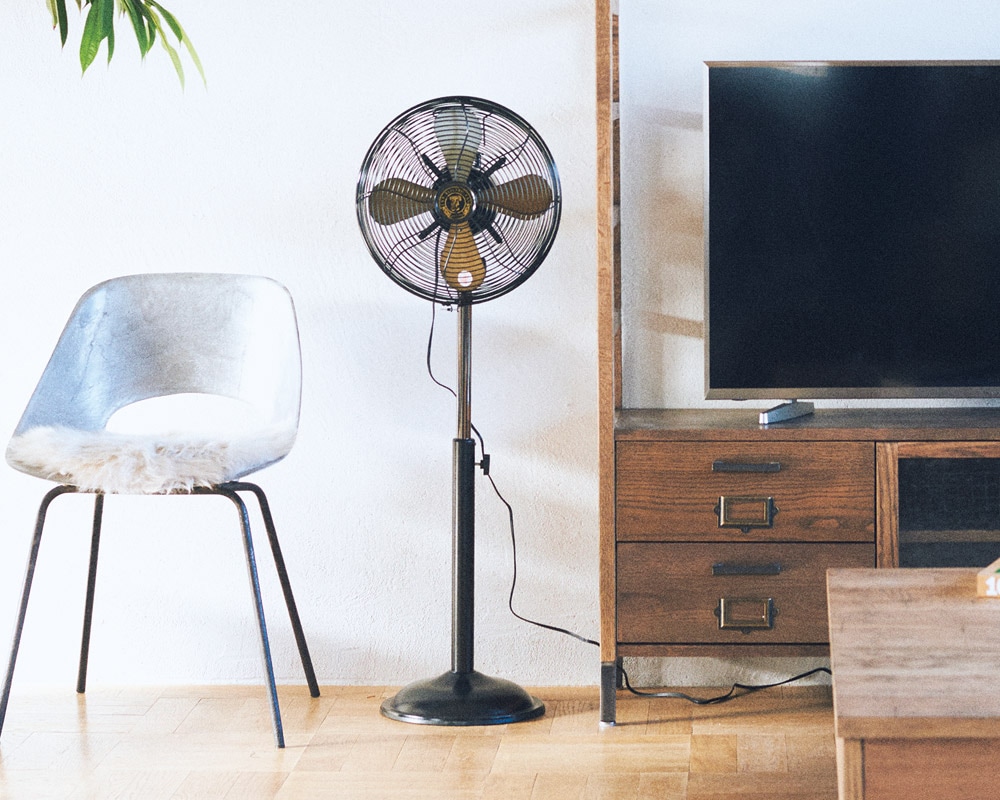 journal standard Furniture | JSF FAN HI ジェイエスエフ ファン ハイ