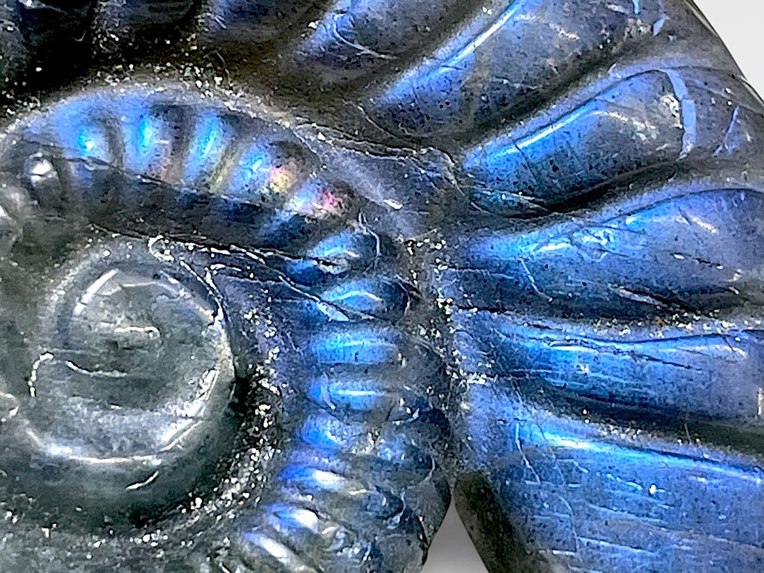 マダガスカル産 ラブラドライト アンモナイト ポリッシュ