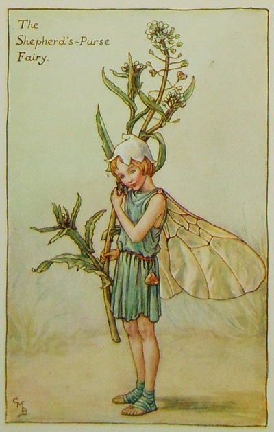 シシリー・メアリー・バーカー 挿画本「花の妖精・春」 | | アトリエ