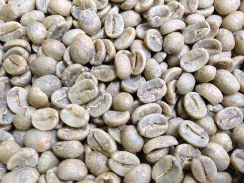 生豆 グアテマラ 有機JASオーガニック フェアトレード チョフスニル