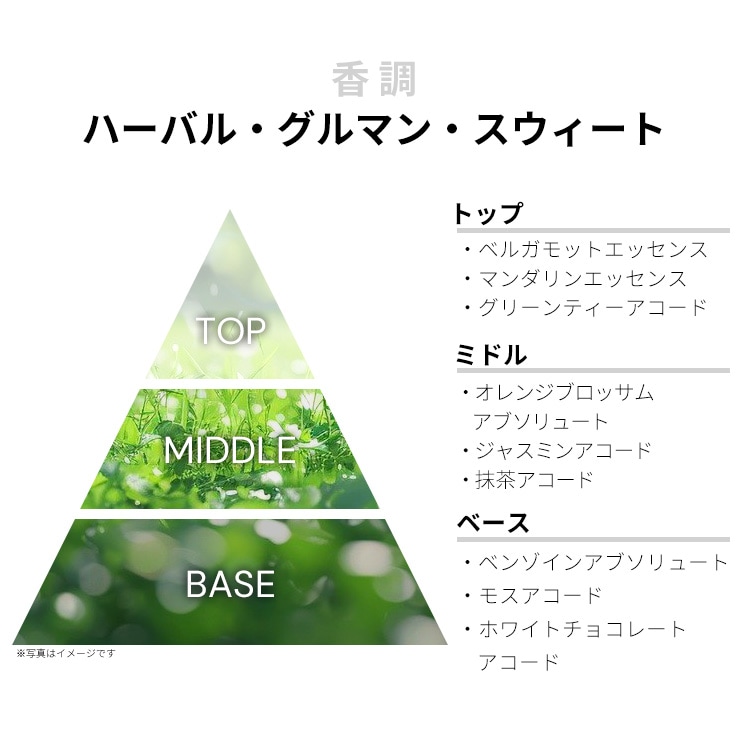 メゾン マルジェラ レプリカ マッチャメディテーション EDT・SP 100ml