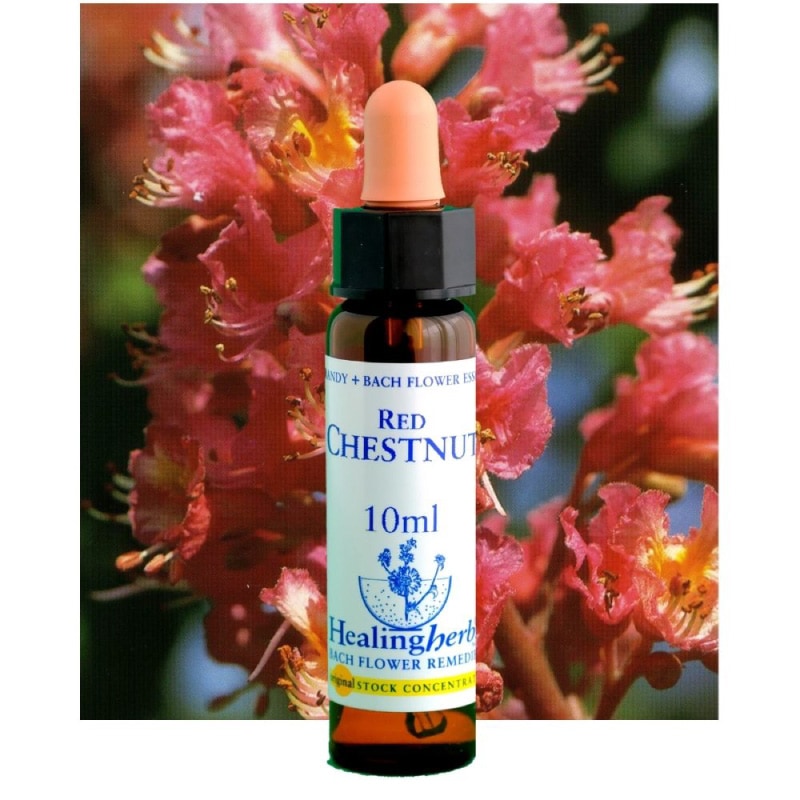 フラワーエッセンス 18 チェストナットバット [ヒーリングハーブス