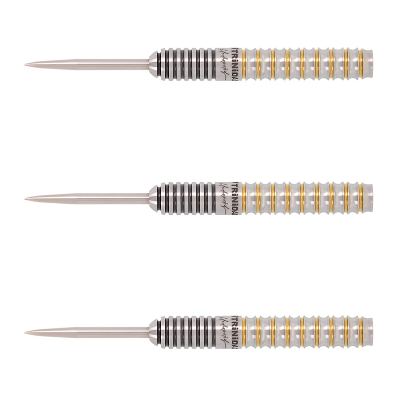 ゆ*う様 新作!トリニダード!やんまー!タイプ16!エボ!極美品!バレル3本セッ ダーツ > ソフトダーツ > ブランド【タ行】 > トリニダード > PRO