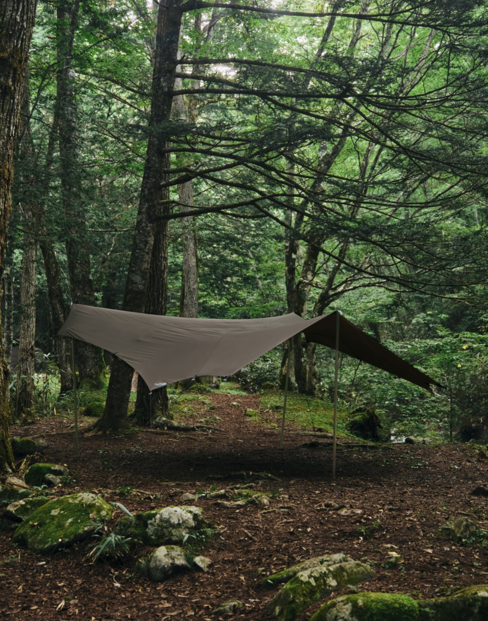 テント・タープ THE NORTH FACE NEBULA TARP 6 & EVACARGO2 10% > 20%OFF] THE NORTH FACE (ザ ノース フェイス) 