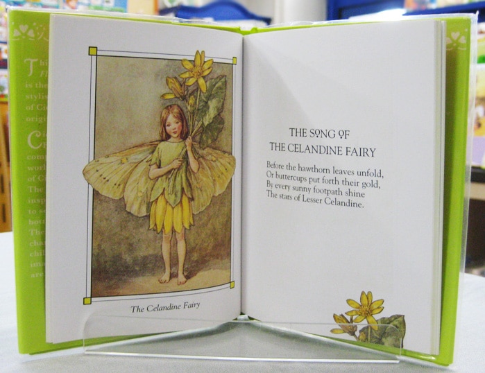 Flower Fairies of the Spring ～花の妖精たち 春～ 切り絵版