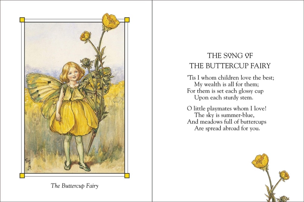 Flower Fairies of the Summer ～花の妖精たち 夏～ 新装版