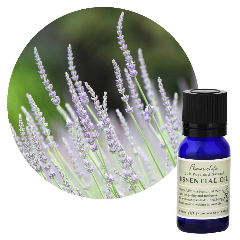 フレーバーライフ】ラバンディン・グロッソ｜エッセンシャルオイル