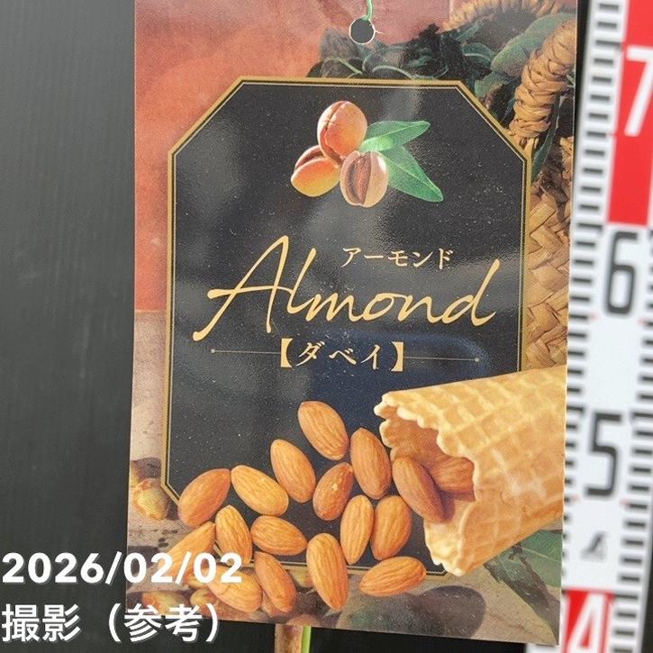 果樹,ナッツ類の購入なら赤塚植物園オンライン 花の音｜花苗