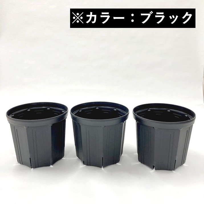 根詰まりしにくい！スリット鉢 8号 3鉢セット（ブラック）｜資材10-TU