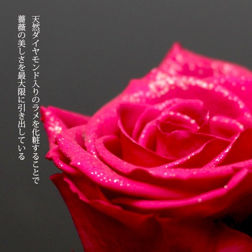 薔薇 プリザーブドフラワー ミニメッセージ黒BOX | プリザーブド