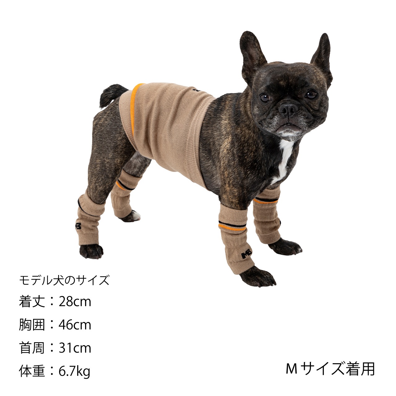 LEG WARMER | ACCESSARY | 犬服 MANDARINE BROTHERS マンダリン