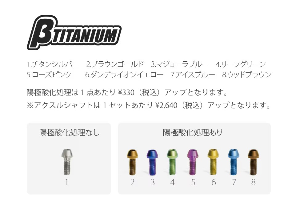 βTITANIUM（ベータチタニウム） KAWASAKI ZX-10R (16-19) フロント