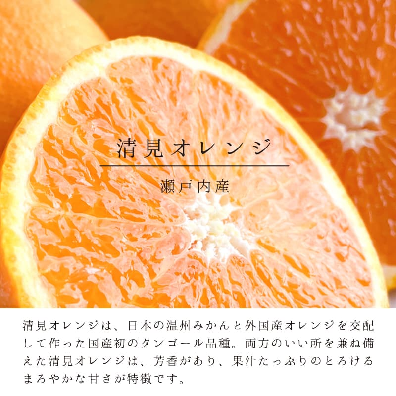 瀬戸内果樹の菓 すずなり 16枚入 | 瀬戸内果樹の菓 すずなり | 母恵夢