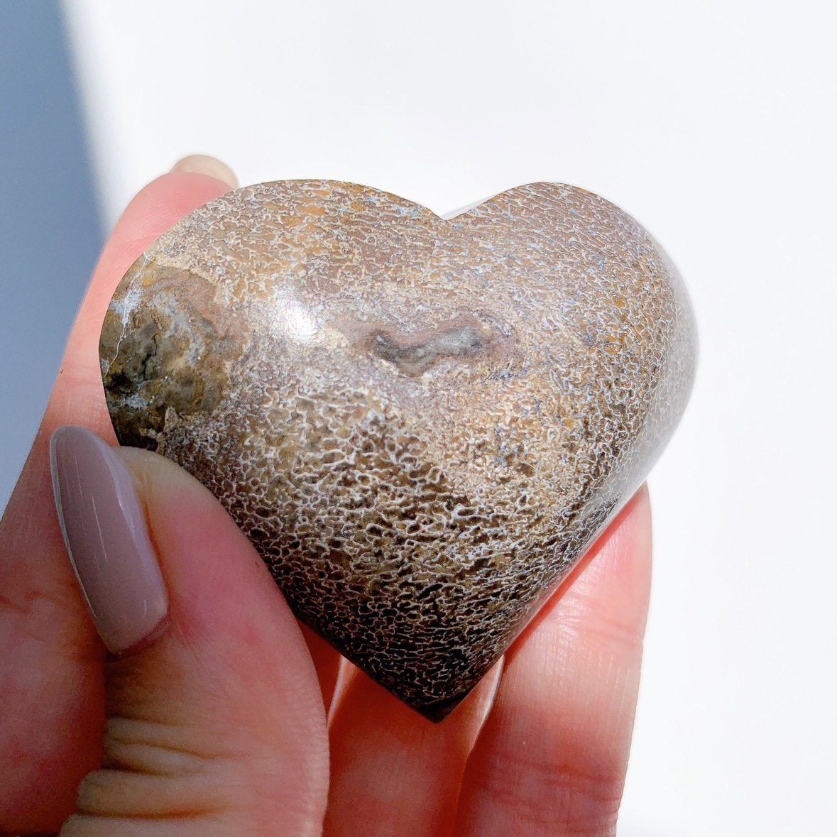 恐竜骨化石 ハート型 | ハート型 | Crystals by Purely