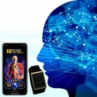 波動商品の商品一覧｜レアシード・モール［RAREMO］