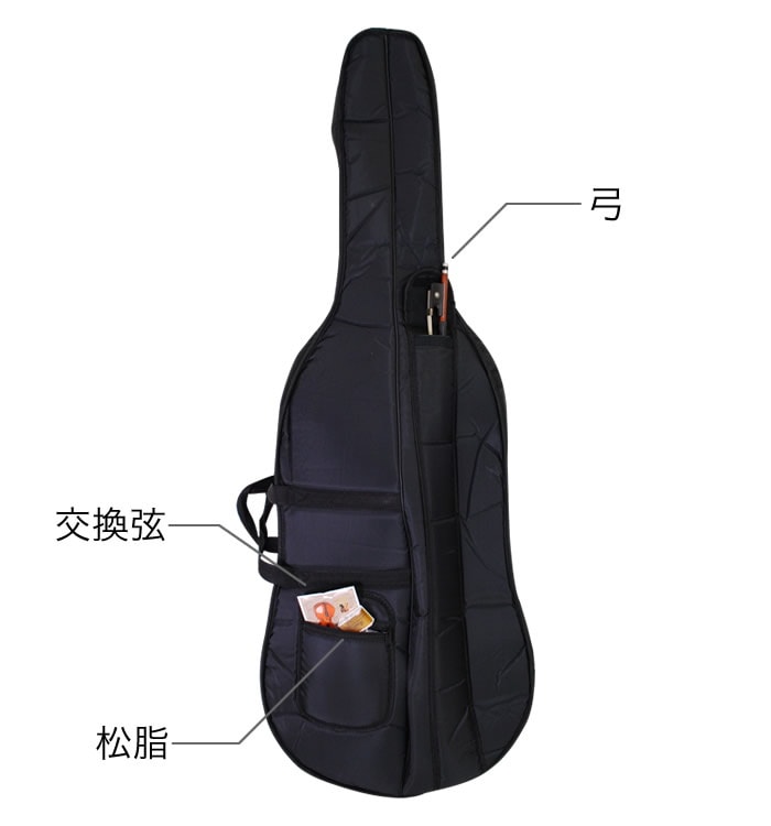 チェロ Hallstatt HC-450 入門セット【ハルシュタット HC450】【大型