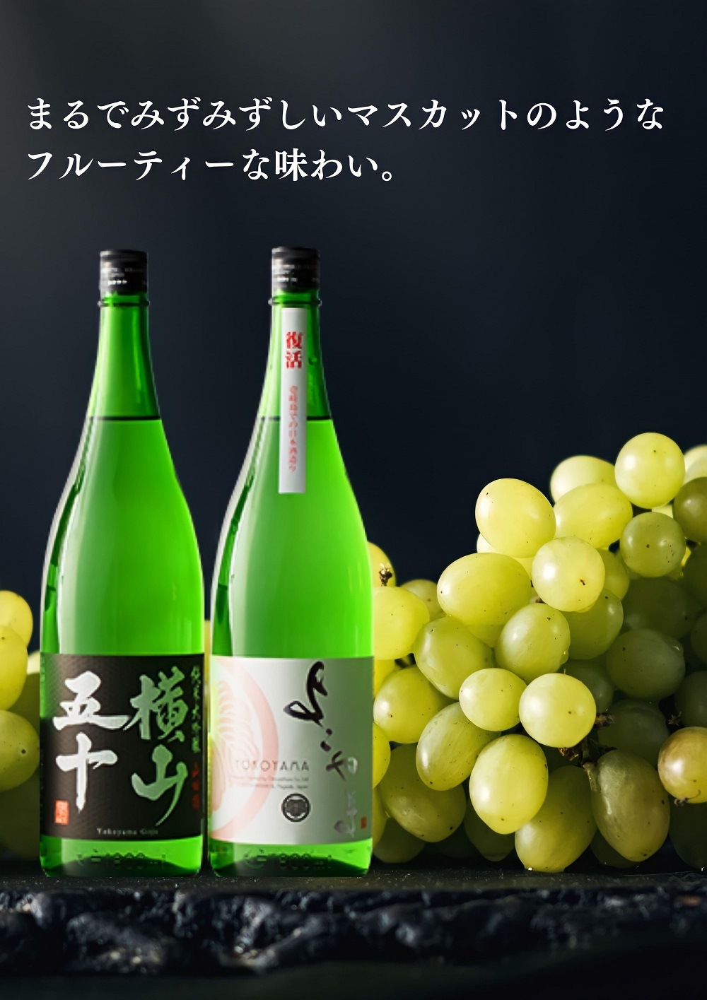 よこやまSILVER1814 純米吟醸 （赤）1.8L│よこやま 日本酒 の通販は