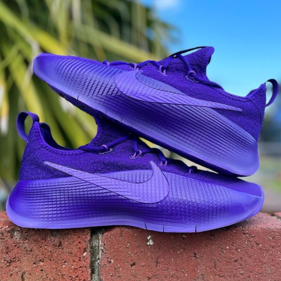 NIKE LEBRON TR 1 'PURPLE RAIN' ナイキ レブロン トレーナー 1