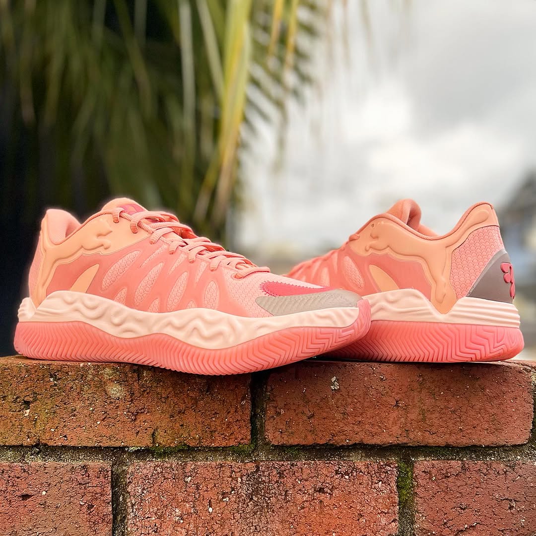 9_000000001111.jpg?1765335452