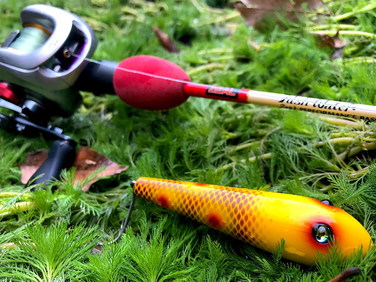 バス釣り】トップウォータールアー用タックルの組み方 / 種類別