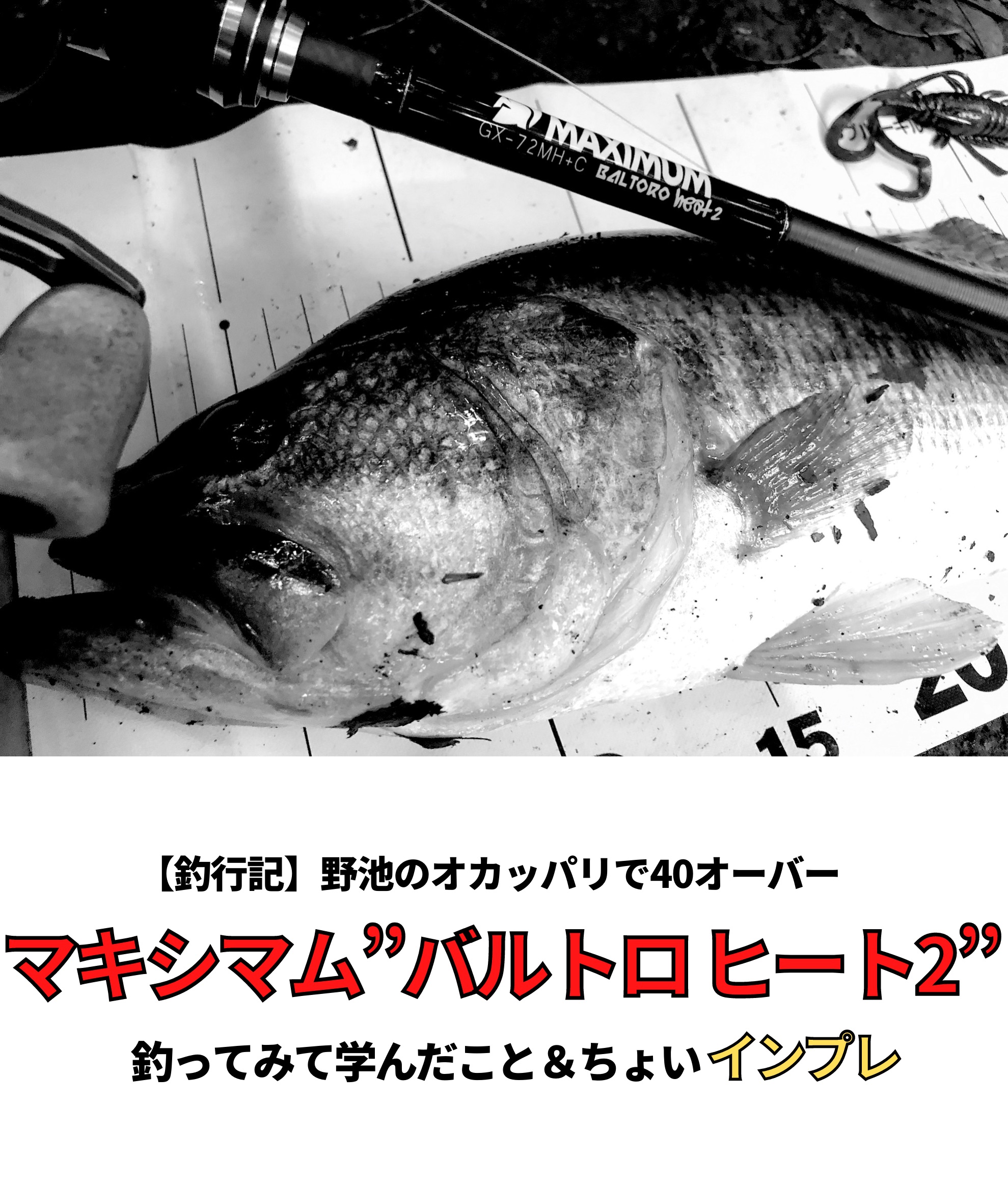 実釣インプレ】43cm釣ってきた。レイドジャパン「マキシマム”バルトロ
