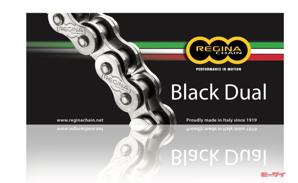 イタリアレジーナ 前後ディレイラー AMERICA 1992 by Regina イタリア