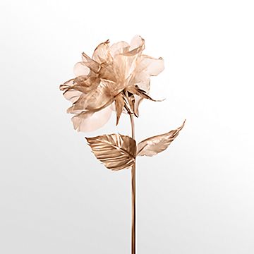 オンライン限定】ティファニー ローズゴールド ハンドクリーム 2.5