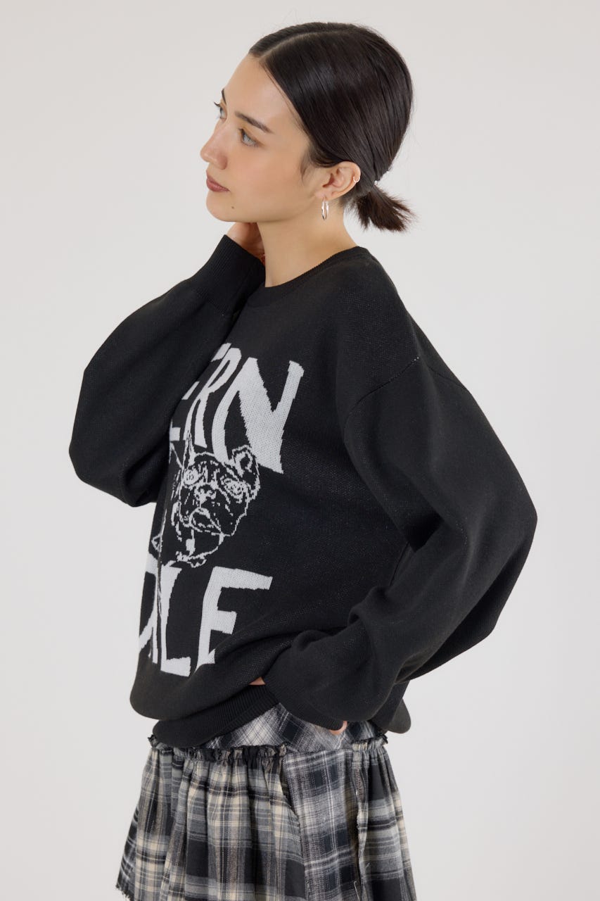 RODEO CROWNS WIDE BOWL | 【UNISEX】アニマルジャガードニット