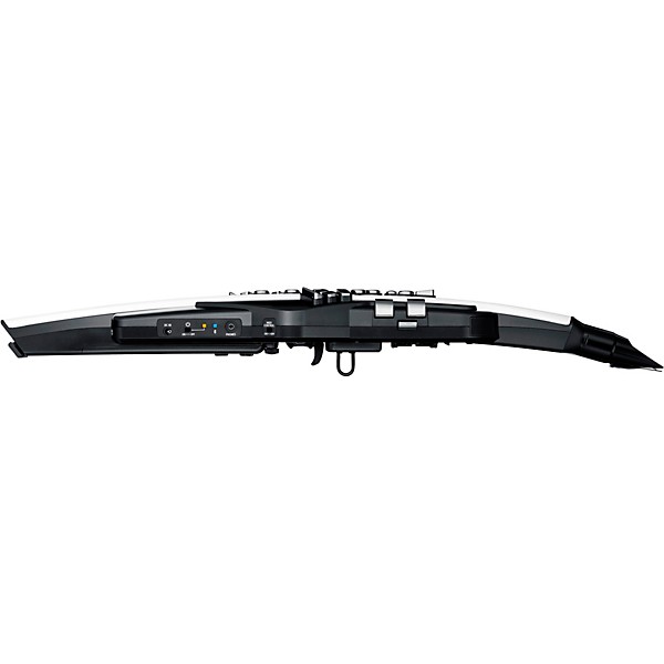 Roland Aerophone AE-20 Digital Wind Instrument | Guitar Center