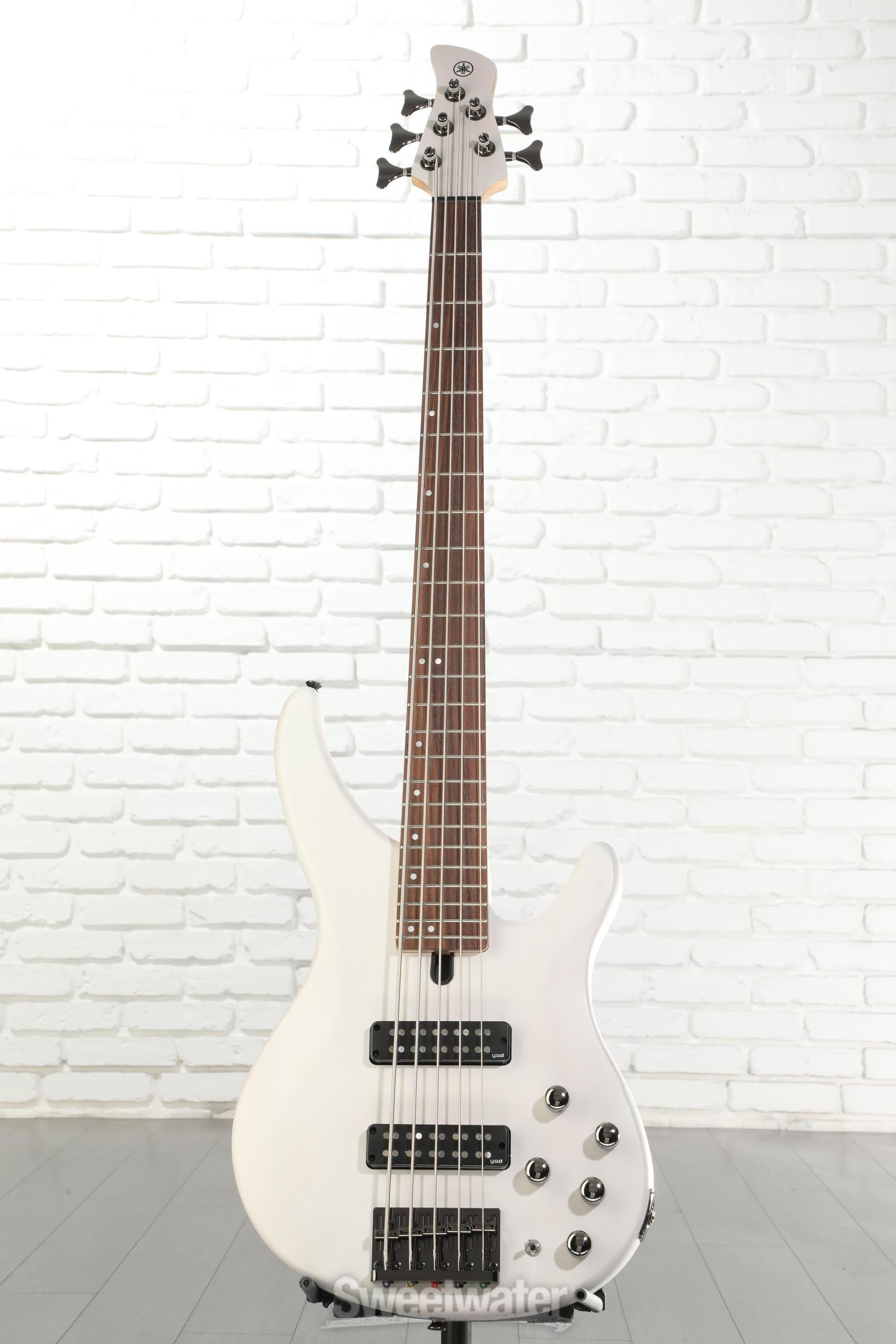 Yamaha TRBX505 5-string Bass Guitar - Translucent White | Sweetwater