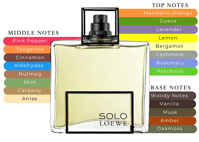 Loewe Solo cedro by Loewe Pour Homme by Loewe EDT 3.4 oz |MaxAroma.com