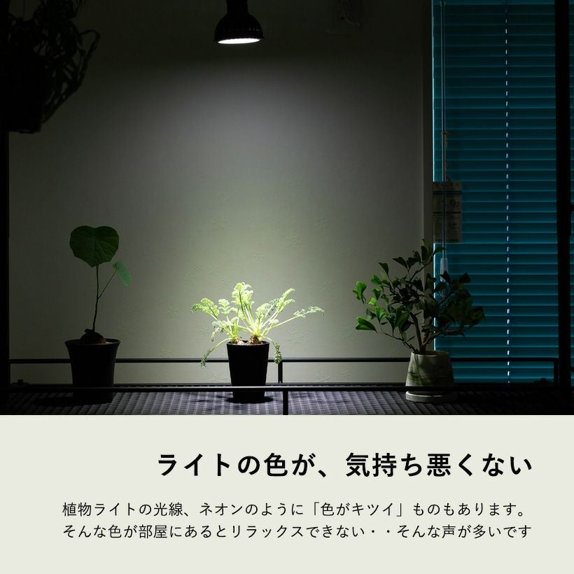 000000007161-15.jpg?size=l&w=