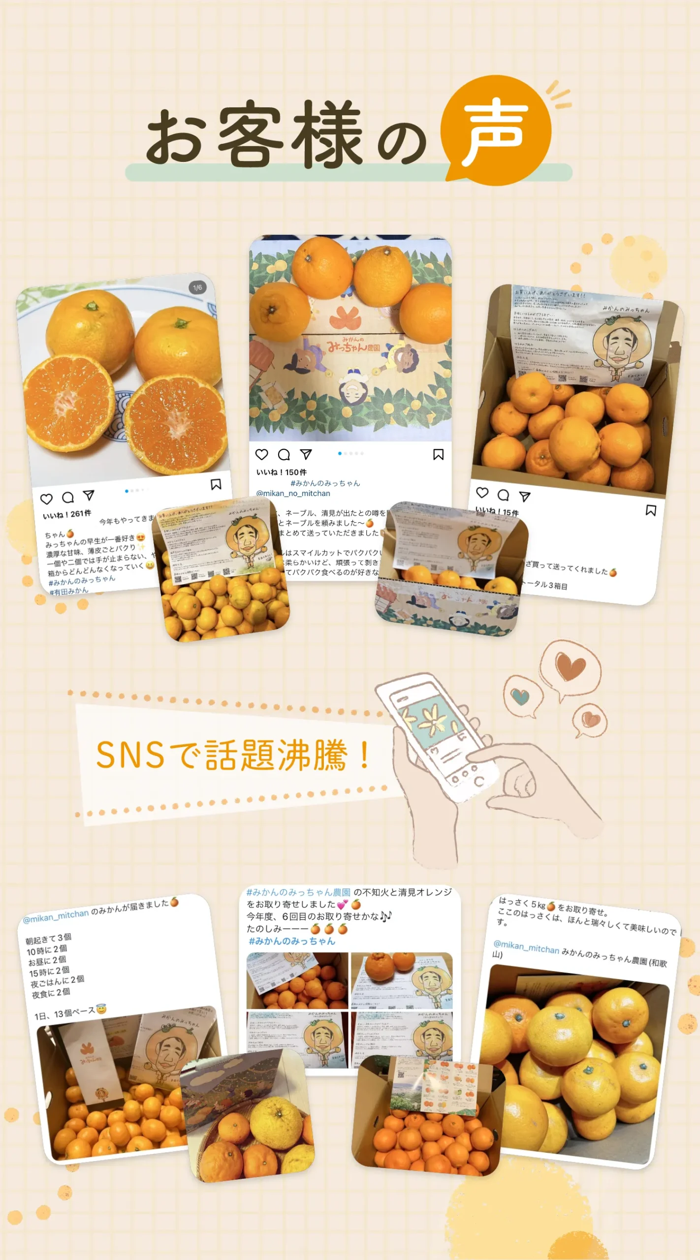 極上みかんの通信販売【農家直送】 | みかんのみっちゃん農園