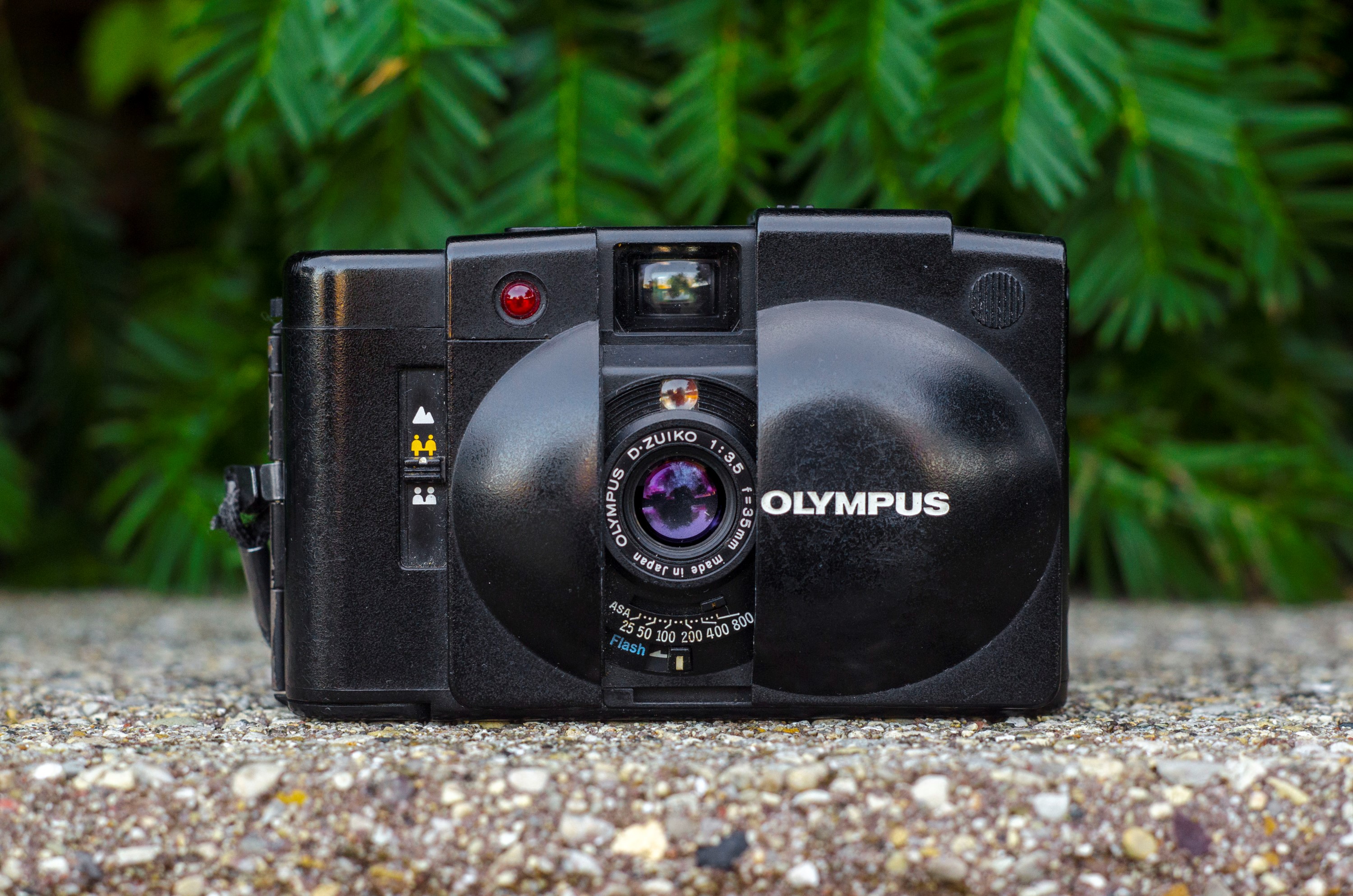 Olympus XA2 (1980) - mike eckman dot com