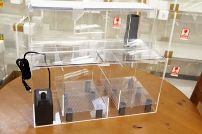 国産アクリル製オーバーフローろ過槽｜大型ろ過槽 - 熱帯魚のmishima