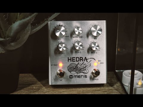 Hedra Pedal 3-Voice Rhythmic Pitch Shifter – MIXWAVE ONLINE STORE