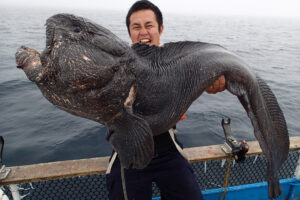 Dear Monster MX-7 - Monster Kiss モンスターキス