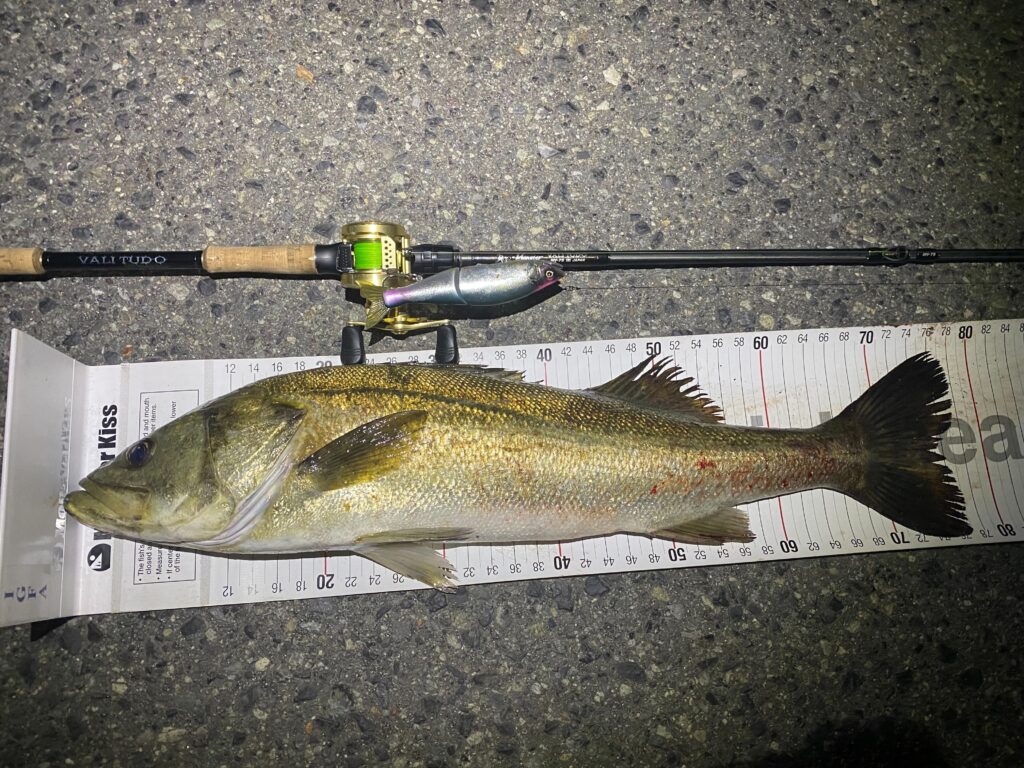 飛ばす”間がシーバスのキモ。野村的ビッグベイト論。 - Monster Kiss