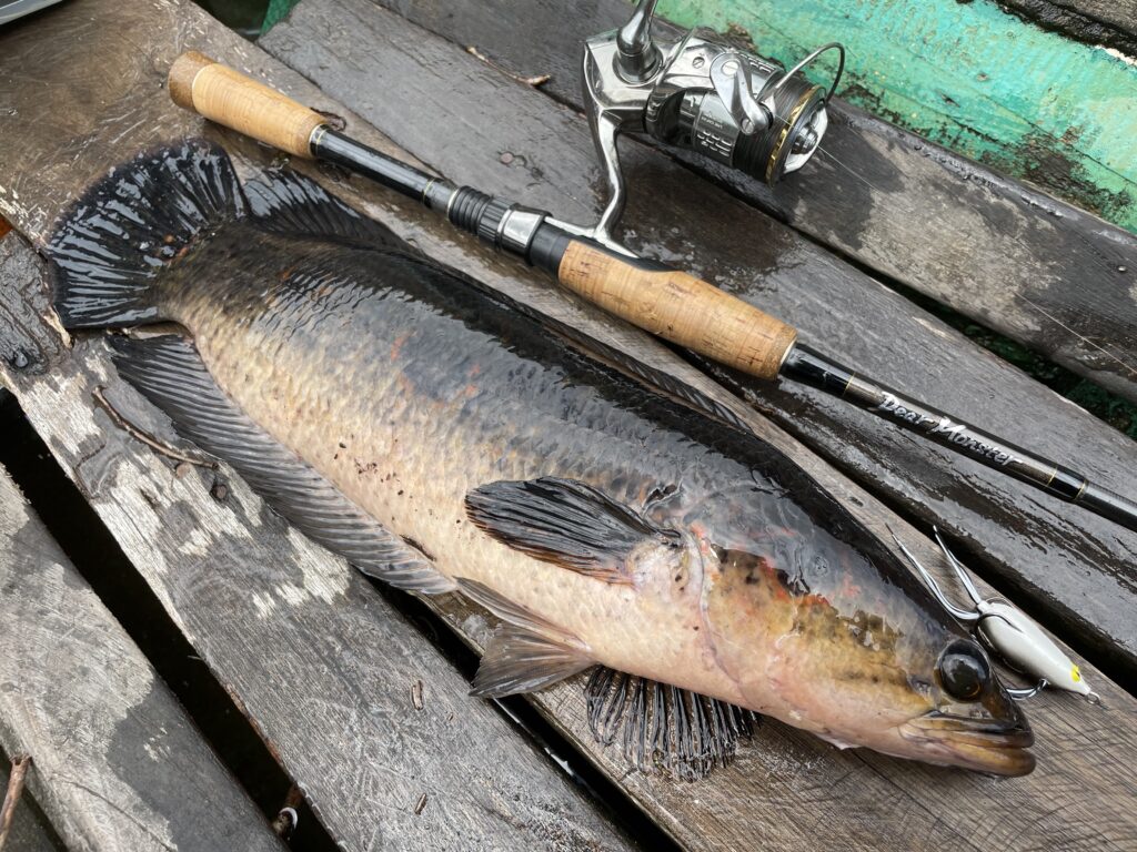 結局イイ魚はこのロッド……“番狂せ屋”「MX-5S」のトリセツ＆開発秘話