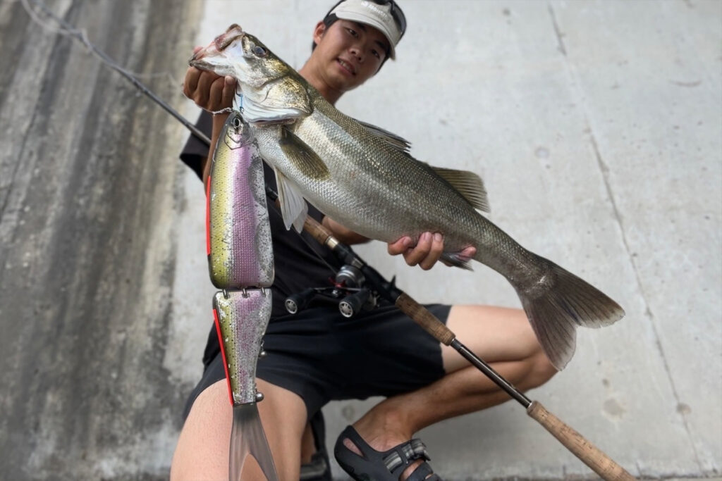 MX-balancer モンスターキス ディアモンスター MX-balancer モンスター