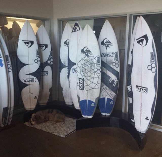 ニューモデルのサンプラー | MOANA COASTAL SERVICE