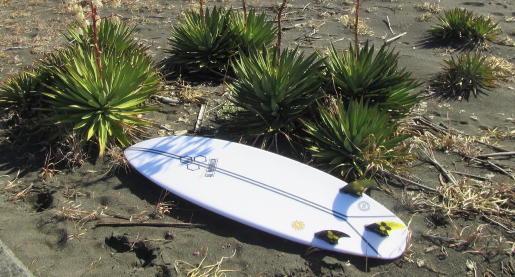 ハッピーエブリデイ のスパインテック | MOANA COASTAL SERVICE