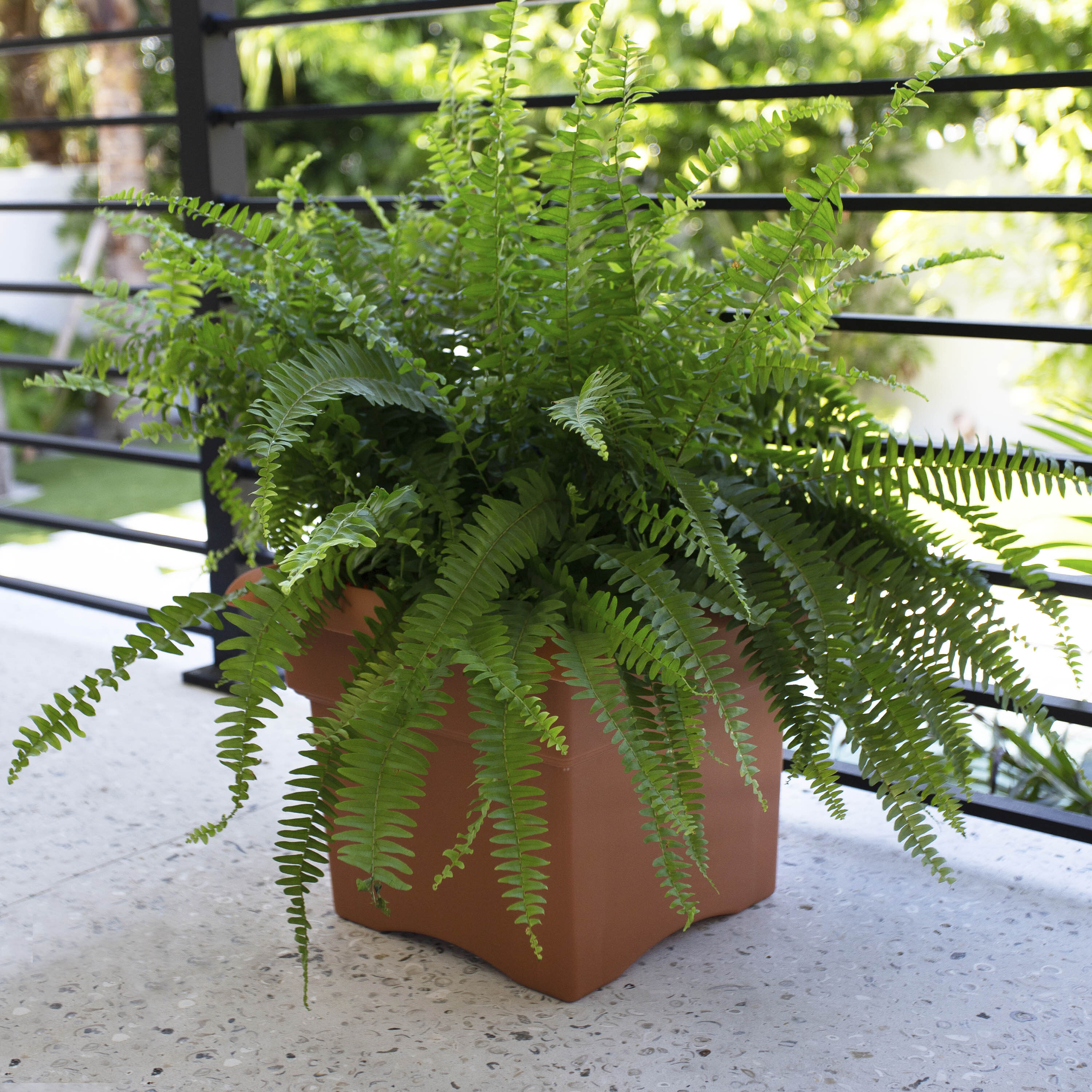 Bloem Square 18-in W Large Brown Resin Indoor/Outdoor Deck Box